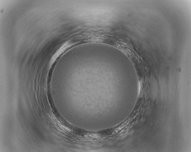 X0000086940195200704161437