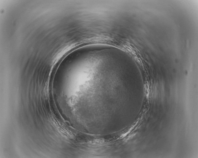X0000086940196200704161437