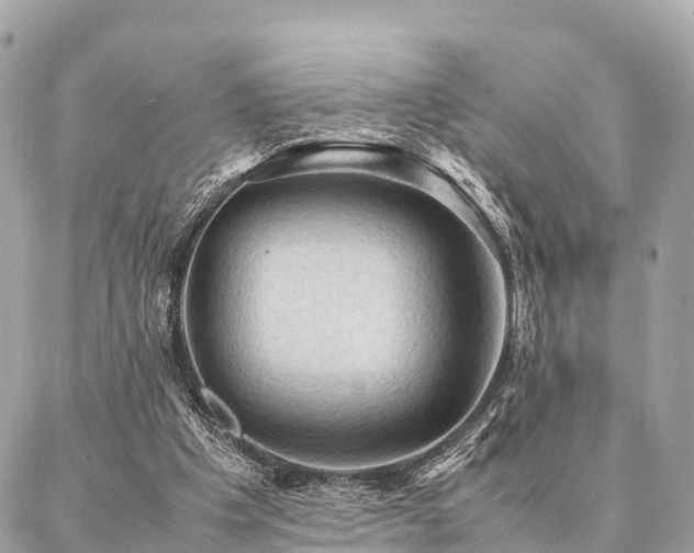 X0000086940201200704161437