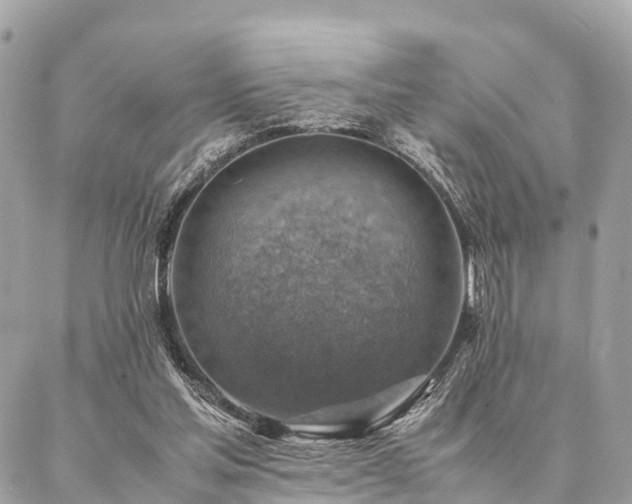 X0000086940205200704161437