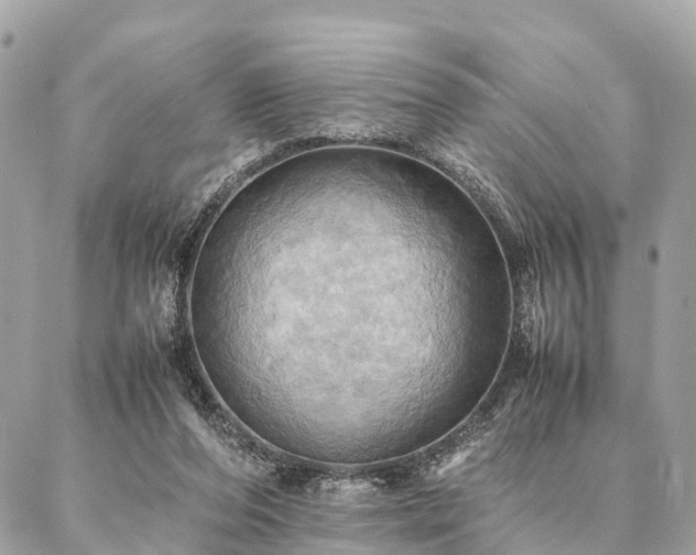 X0000086940208200704161437