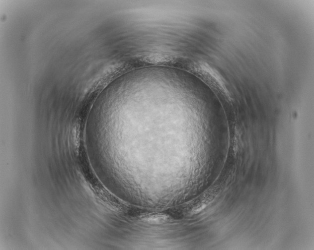 X0000086940210200704161437
