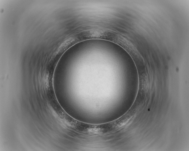 X0000086940216200704161437