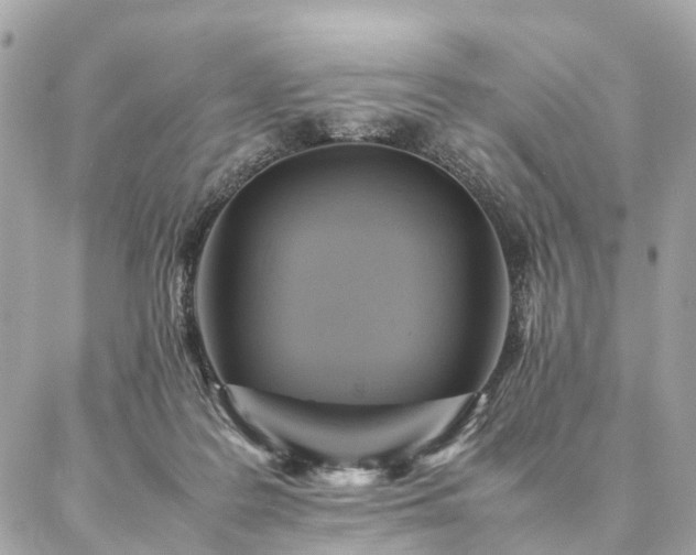 X0000086940219200704161437