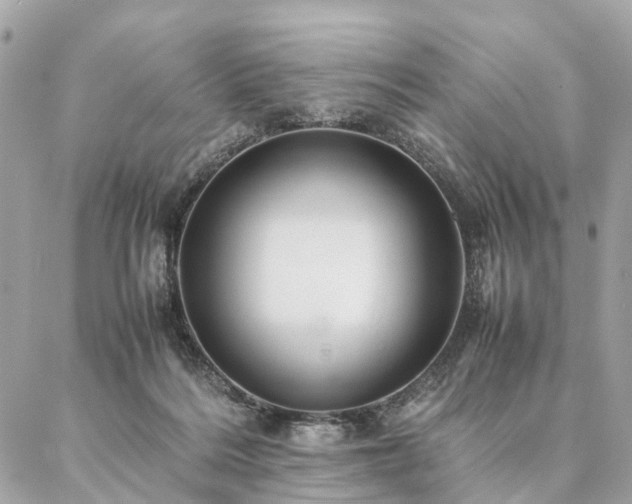 X0000086940220200704161437