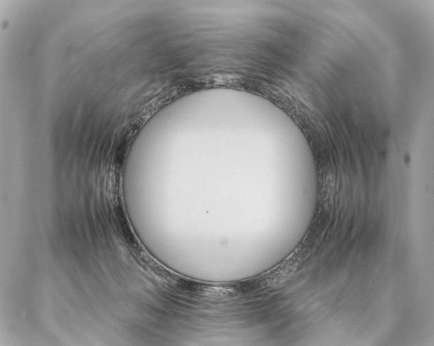 X0000086940222200704161437