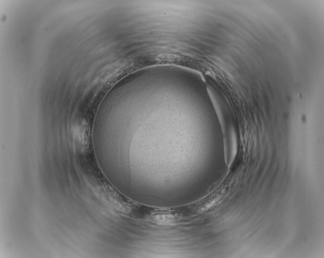 X0000086940228200704161437