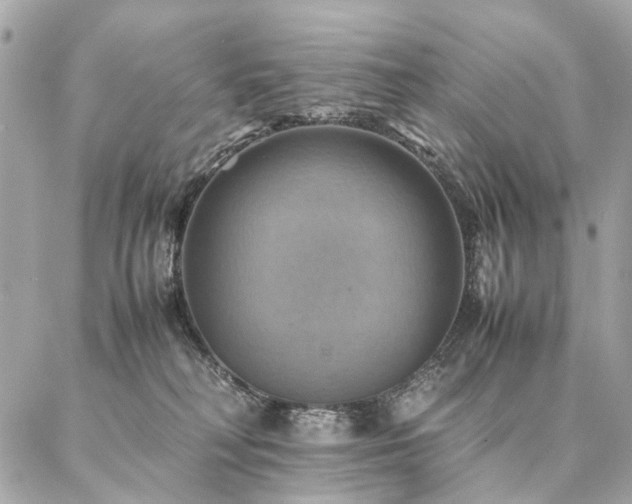 X0000086940230200704161437