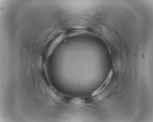 X0000086940231200704161437