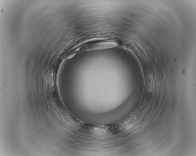 X0000086940232200704161437