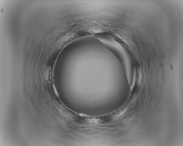 X0000086940233200704161437