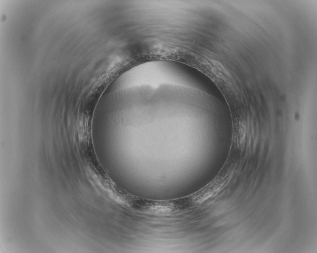 X0000086940236200704161436