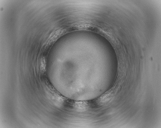 X0000086940240200704161436
