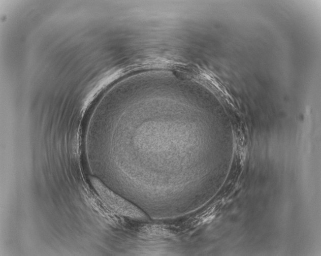 X0000086940244200704161436