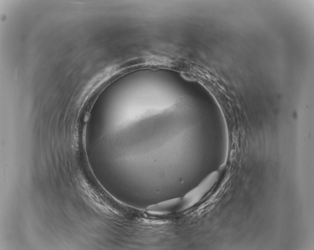 X0000086940247200704161436