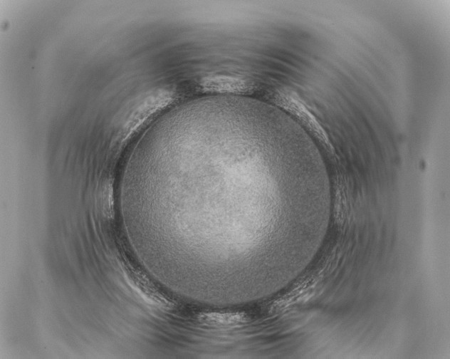 X0000086940251200704161436