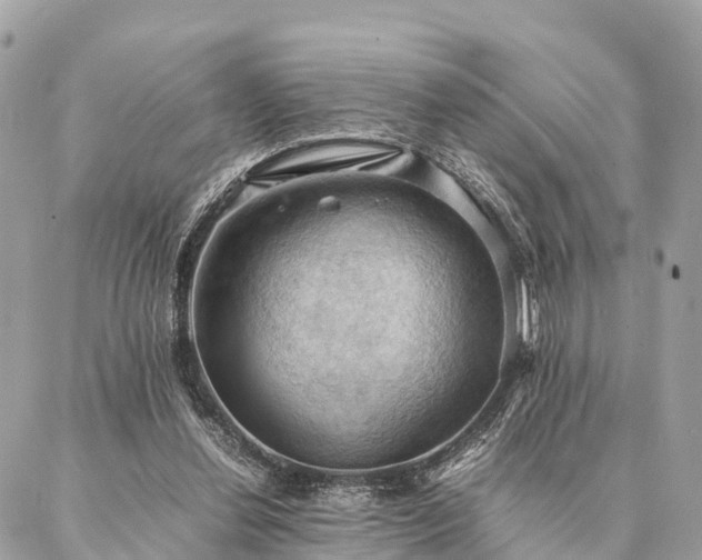 X0000086940252200704161436