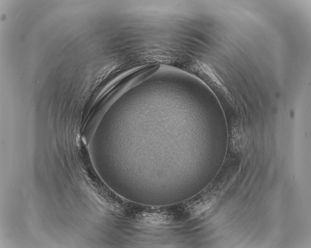 X0000086940259200704161436
