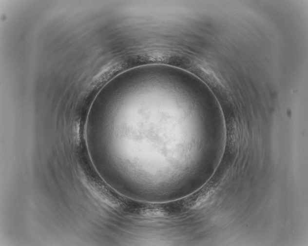 X0000086940262200704161436