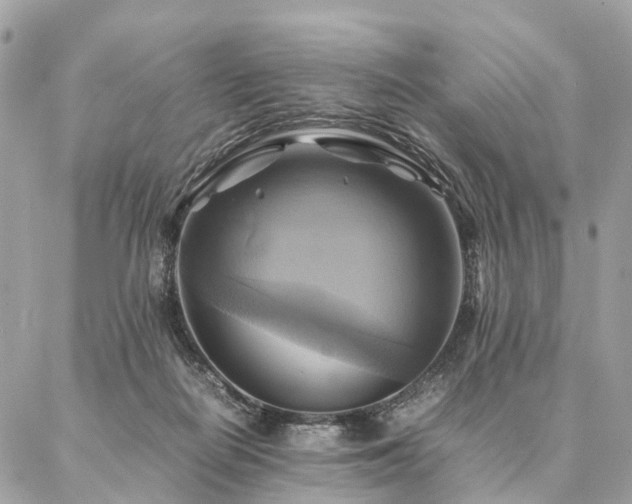 X0000086940266200704161436