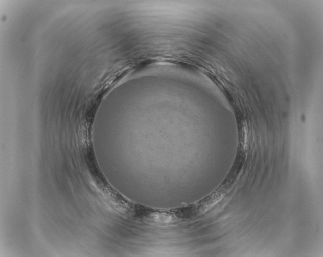 X0000086940272200704161436