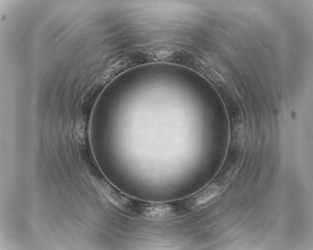 X0000086940274200704161436