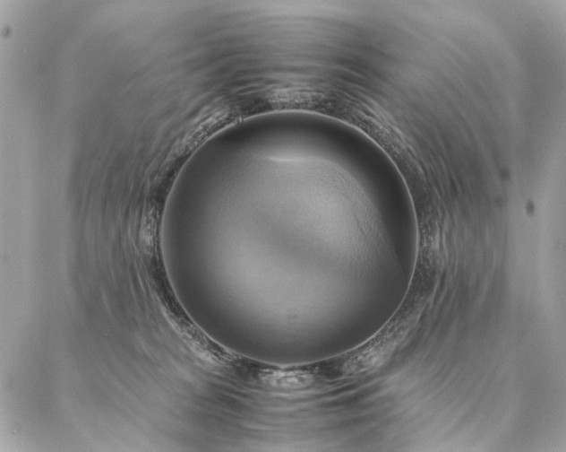 X0000086940277200704161436