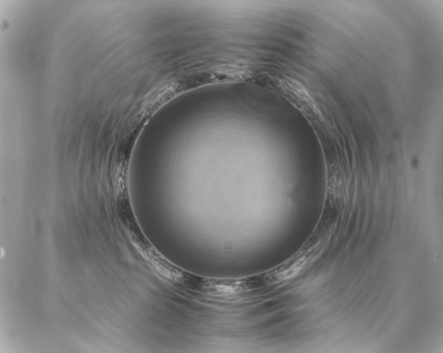 X0000086940285200704161436
