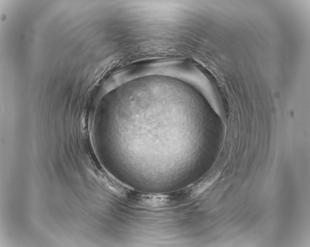 X0000086940288200704161436