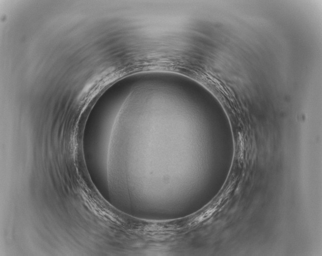 X0000086940290200704161436