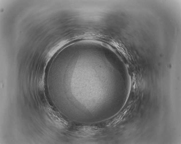 X0000086940292200704161436