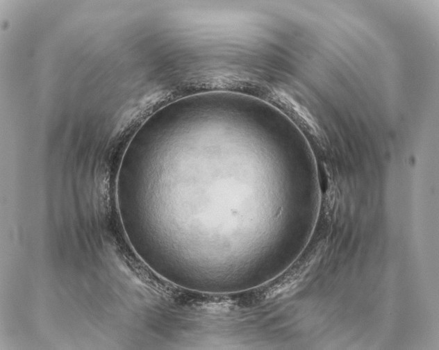 X0000086940306200704161435
