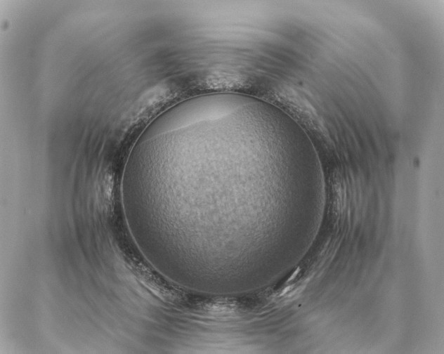 X0000086940308200704161435