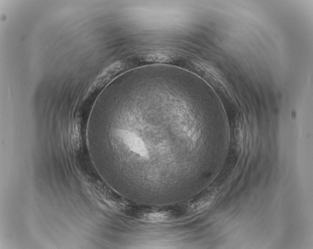 X0000086940312200704161435
