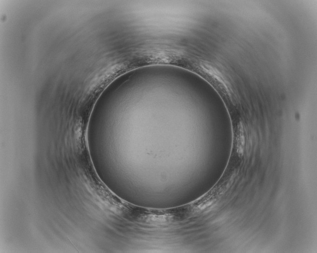 X0000086940314200704161435