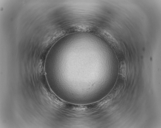 X0000086940318200704161435