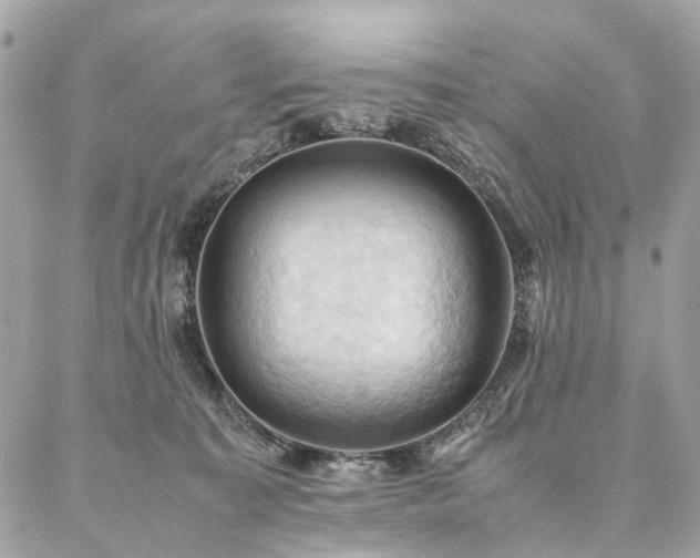X0000086940323200704161435
