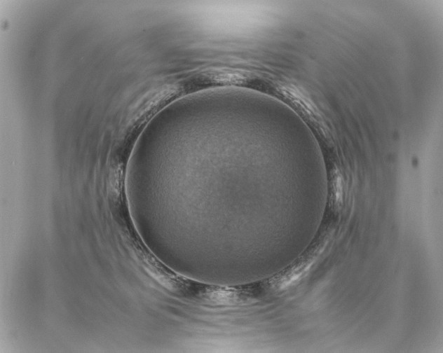 X0000086940325200704161435