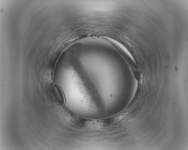 X0000086940331200704161435