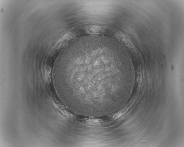 X0000086940332200704161435