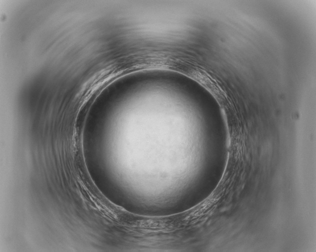X0000086940338200704161434