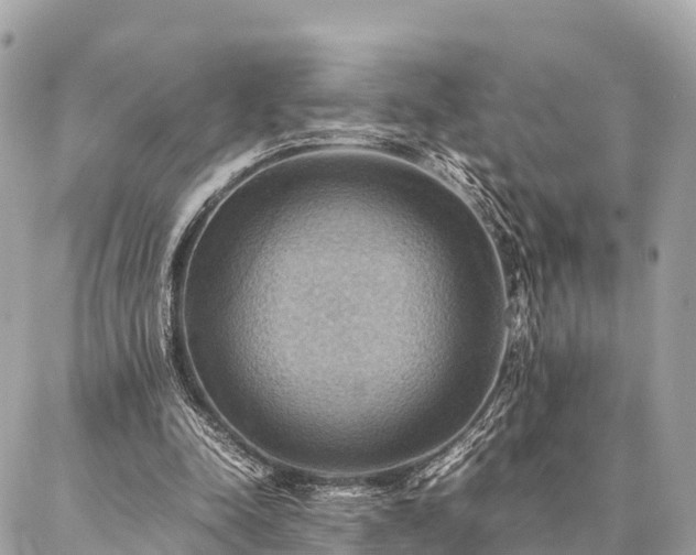 X0000086940342200704161434