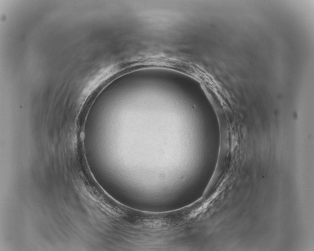 X0000086940344200704161434