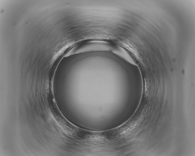 X0000086940348200704161434