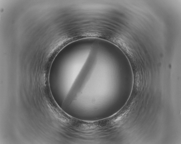 X0000086940351200704161434