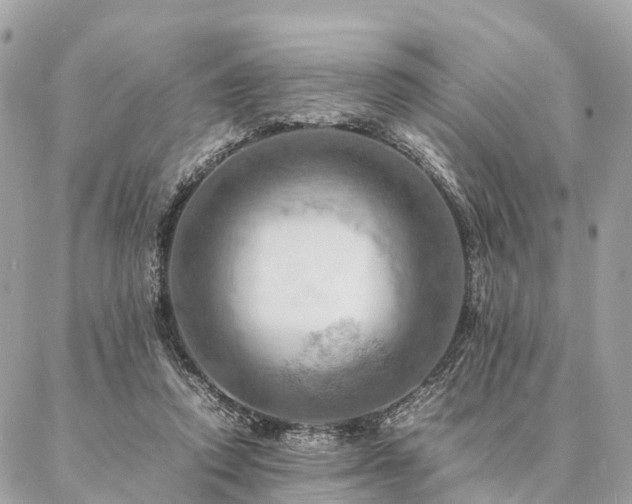 X0000086940354200704161434
