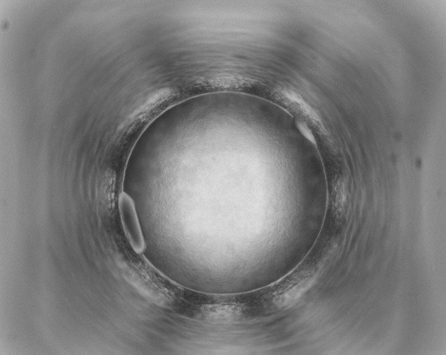 X0000086940356200704161434