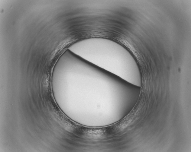 X0000086940357200704161434