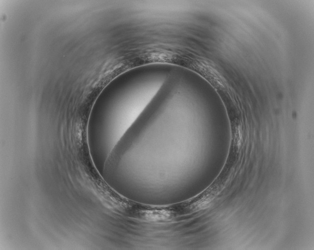 X0000086940363200704161434