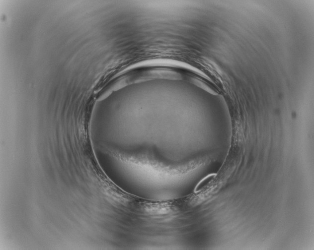 X0000086940377200704161435